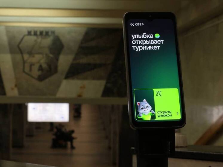 145 тысяч рублей заплатили нижегородские «зайцы» за бесплатный проезд