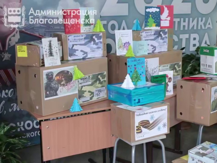 Более 500 новогодних подарков подготовили амурчане для отправки в зону СВО