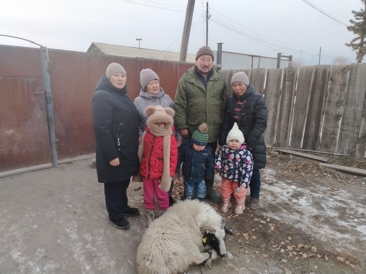 В Чаа-Хольском районе Тувы судебные приставы  подарили живого барана многодетной семье