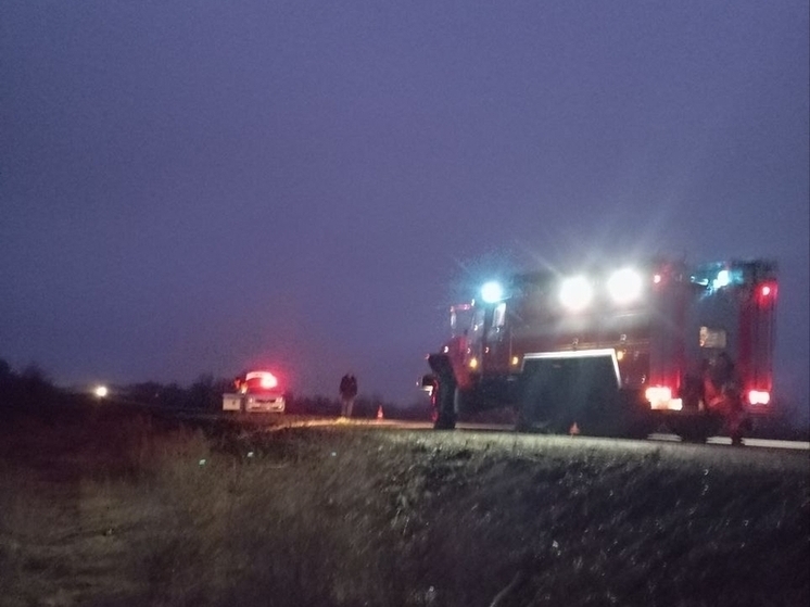 Водитель «девятки» сбил лося насмерть в Самарской области утром 2 декабря