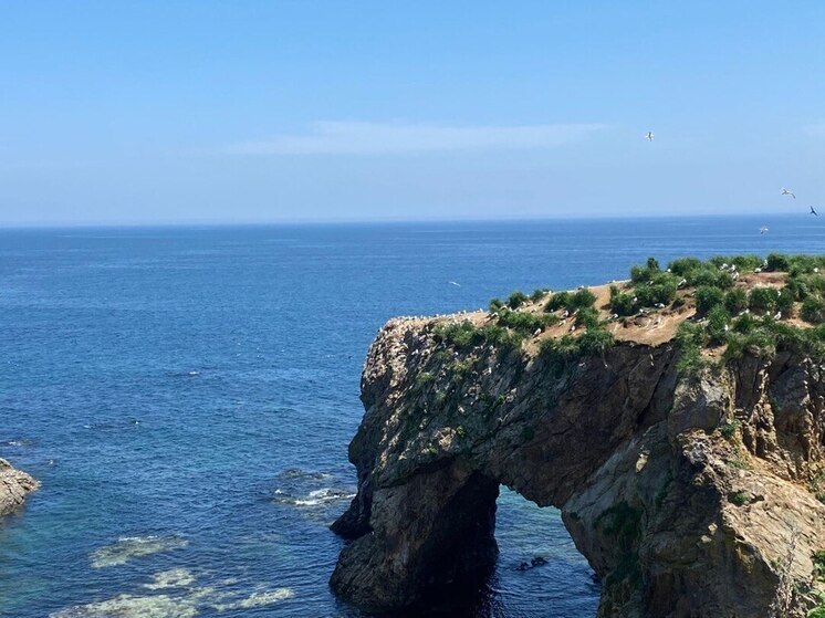 У побережья Северо-Курильска за час произошло два землетрясения