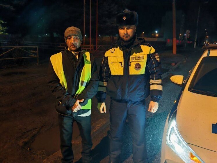 В Тульской области завершилось профилактическое мероприятие «Пешеход»