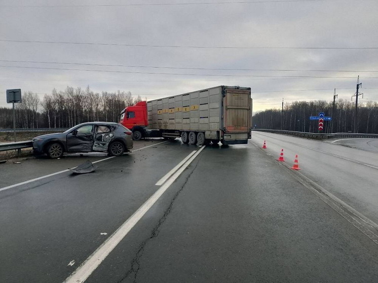 За сутки на дорогах Марий Эл пострадали два водителя и пассажир
