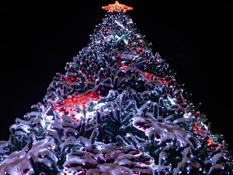 Смоленск начал украшаться к Новому году: где уже стоят елки и когда зажжется главная