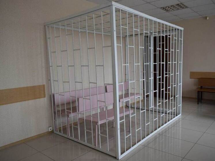 Курские полицейские поймали грабителя женщин в лифтах