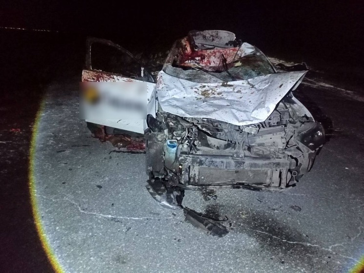 Лошадь пала жертвой прогресса в Аскизском районе