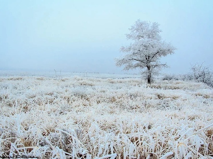 Завтра погода в Калмыкии расскажет об июне