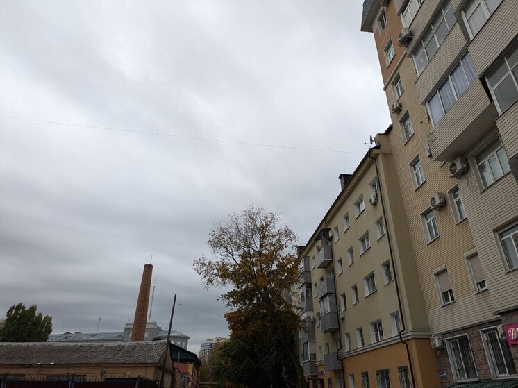 В Воронеже зафиксировали рост цен на б/у и новое жилье