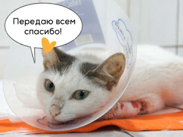 В Щедрый вторник пожертвования пермскому приюту «Матроскин» умножатся на пять