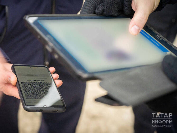 Кибермошенники значительно расширили набор схем, связанных с маркетплейсами и фишинговыми сайтами