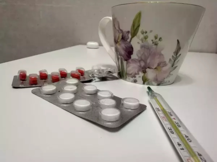 В Роспотребнадзоре назвали вирусы, циркулирующие на Дону