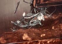 Десять лет назад в элитном доме на Шаболовке жестоко убили женщину и ее девятилетнюю дочь