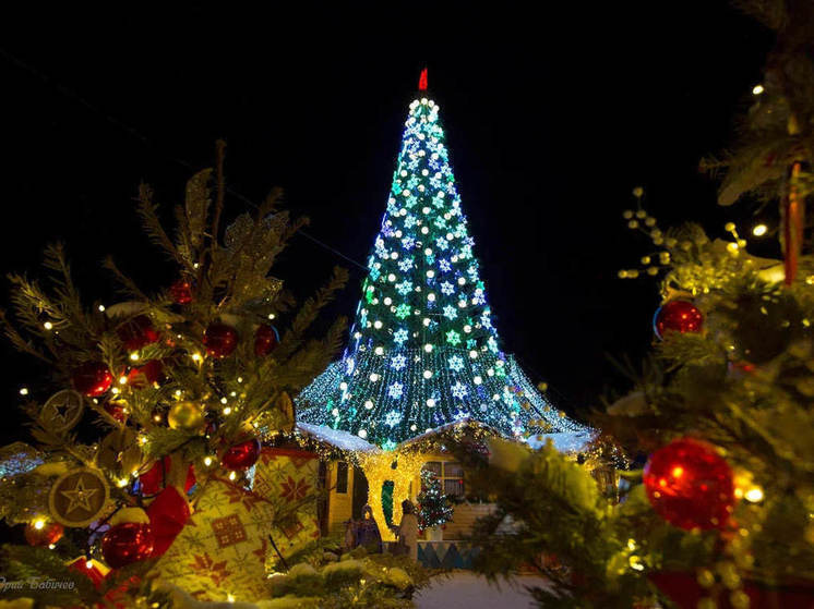 Ёлочные базары Новосибирска заработают в полном объёме только к середине декабря