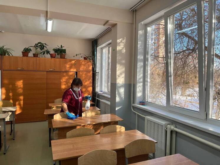 Более 300 классов в Улан-Удэ перешли на дистанционку из-за ОРВИ и гриппа