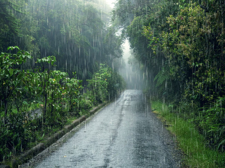 12 градусов тепла и дожди прогнозируют в Херсонской области 3 декабря