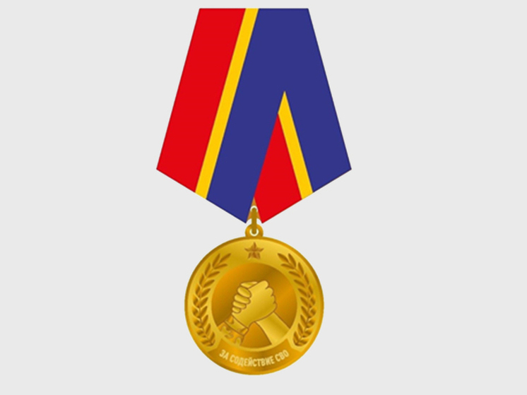 Губернатор Беспрозванных учредил в регионе медаль за поддержку СВО