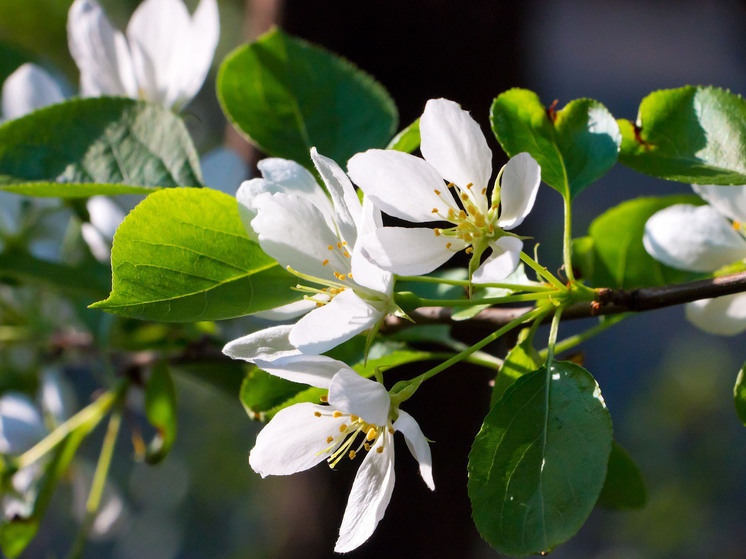Приметы на день Прокла: что нельзя делать 3 декабря 2025 года