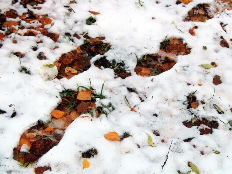 В Тарском районе разыскивают двух ушедших из социального учреждения