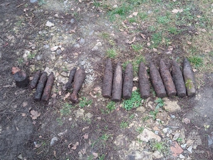 В белгородском хуторе нашли 14 боеприпасов прошлого века