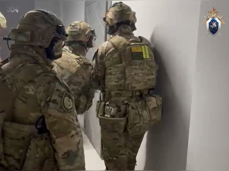 Шестерых астраханцев подозревают в ведении незаконной банковской деятельности