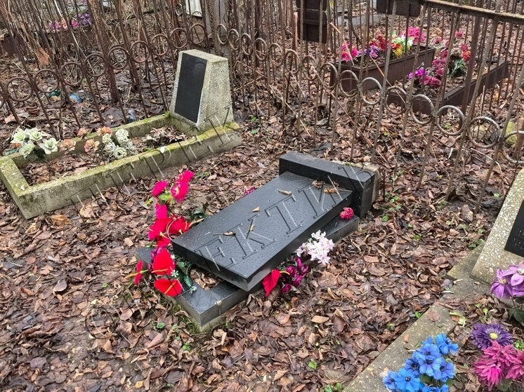 В Ярославле неизвестные разгромили Донское кладбище