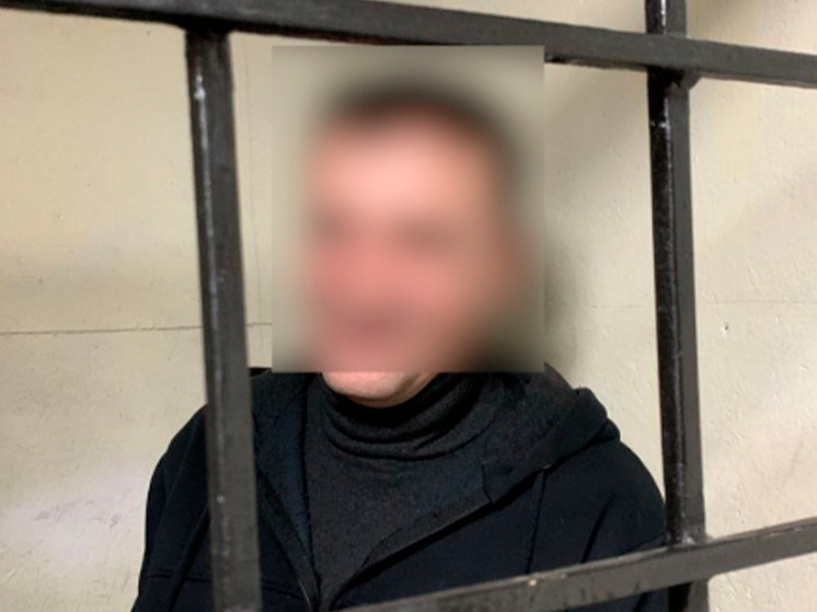 В Брянске полицейские задержали «трафаретчика»