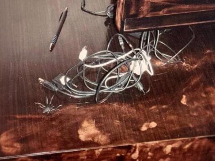 Десять лет назад в элитном доме на Шаболовке жестоко убили женщину и ее девятилетнюю дочь