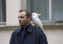 Если собаки уже давно стали привычными героями детективных сериалов, то другую живность в кадре можно увидеть не так часто