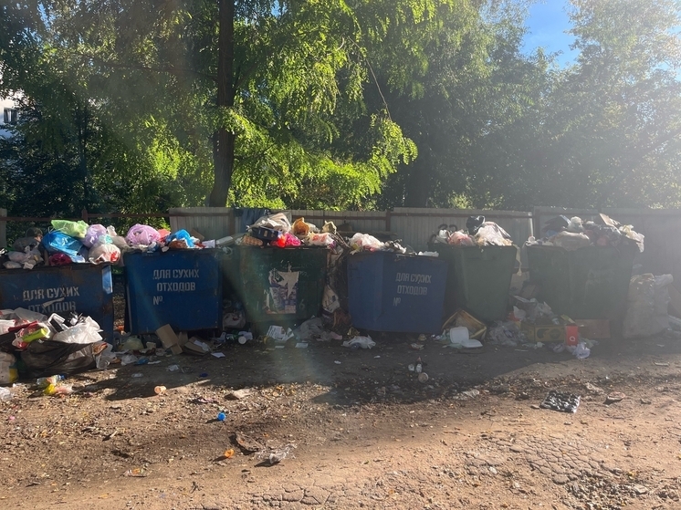 В Орловской области УК «Зелёная роща» наказали за ненадлежащее оказание услуги по обращению с ТКО