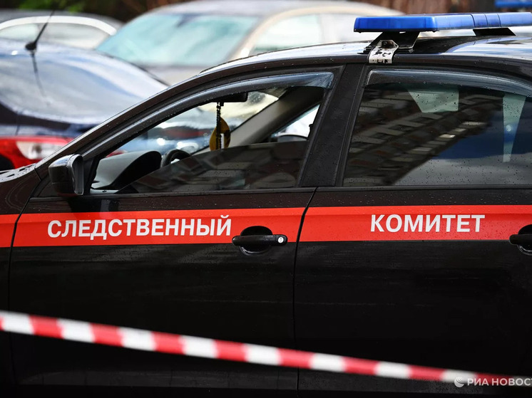 СК РФ расследует атаку ВСУ на Великие Копани Херсонской области