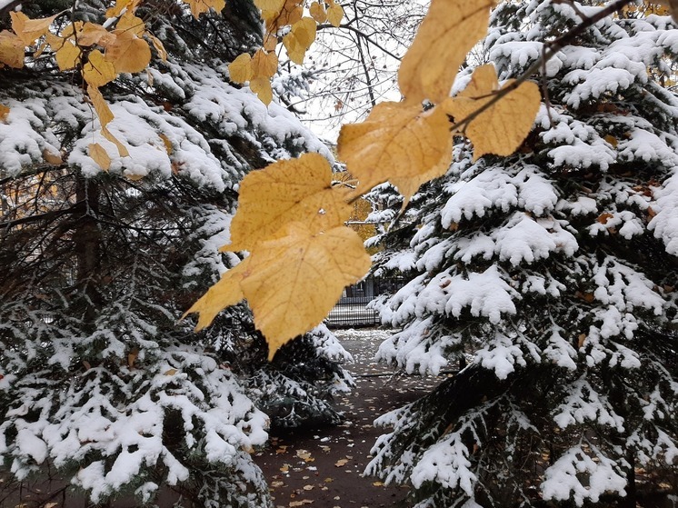 Мокрый снег выпадет в Саратовской области