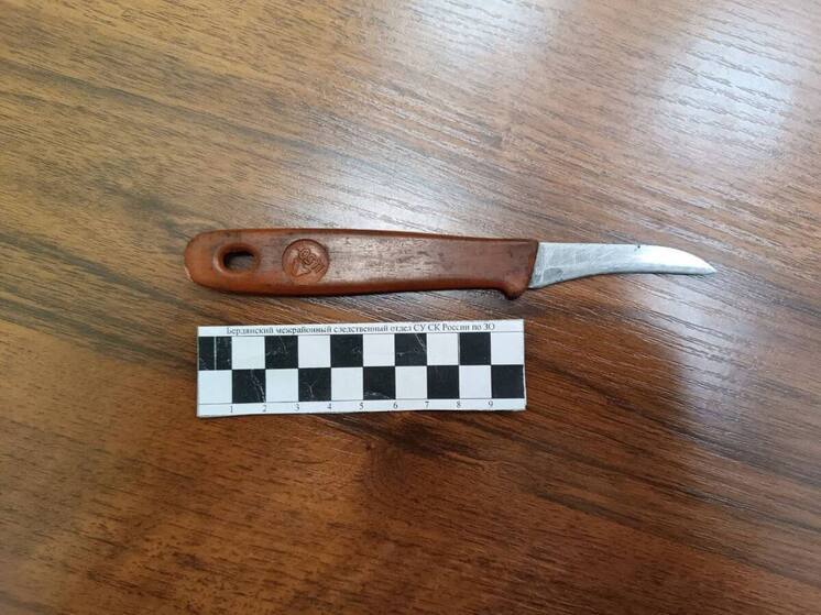 В Бердянске завершено расследование дела о покушении на убийство: рецидивист предстанет перед судом