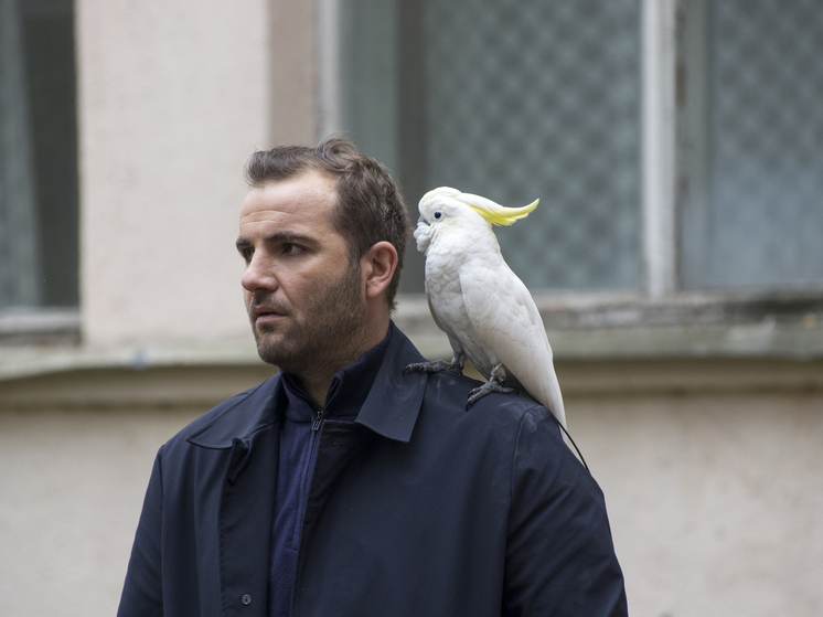 Актер Максим Стоянов  снимается в детективном сериале