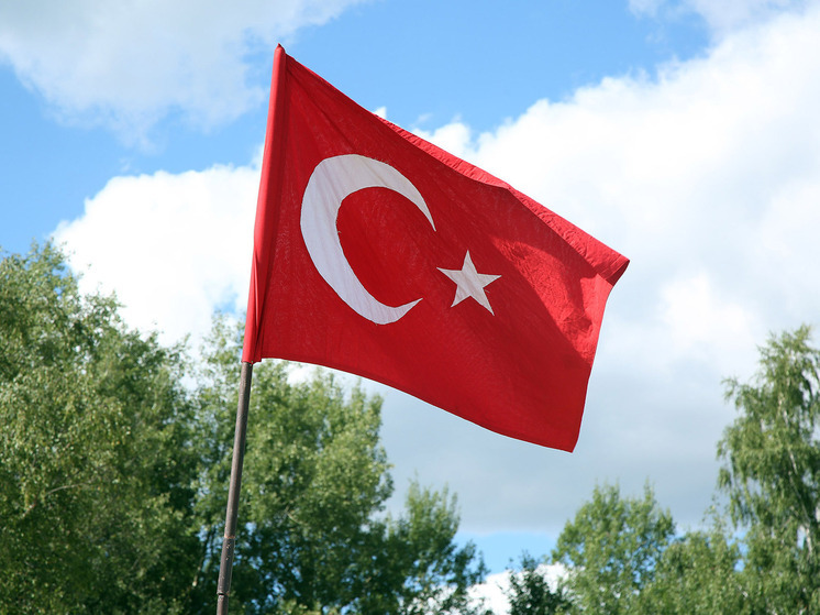 Василий Дандыкин: «Наказывать пиратов надо в их же логове»