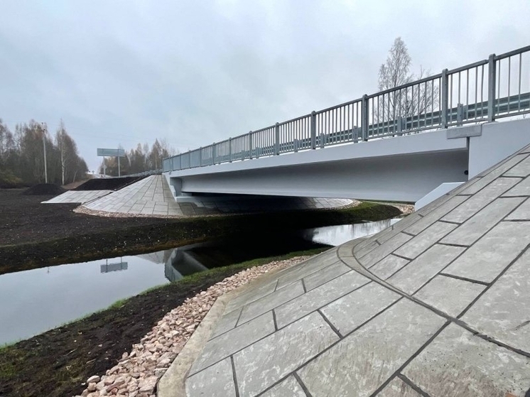 Капремонт моста за 150 млн рублей завершили в Палкинском округе