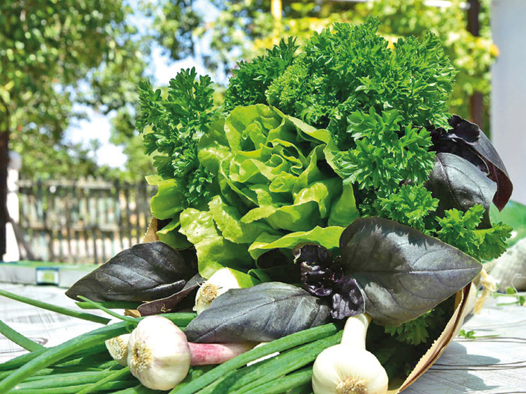 Эксперт: Опасный вирус пятнистого увядания может поразить 1200 видов растений