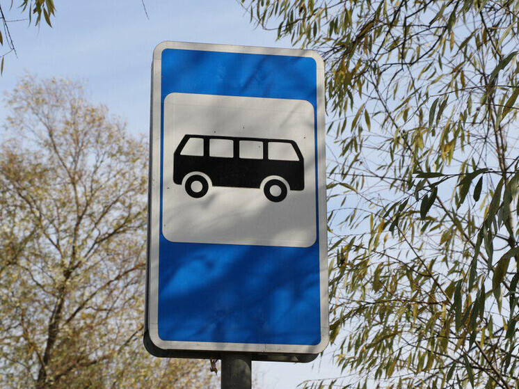 В Подмосковье искусственный интеллект помог выявить более 3 тысяч случаев скопления мусора