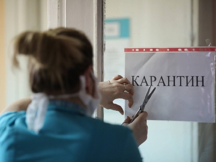 Карантин по бешенству был введен в волгоградском поселке Октябрьский