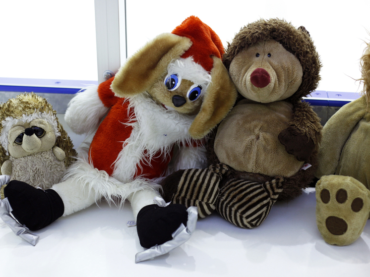 Дошкольники способны самостоятельно открывать алгоритмы сортировки