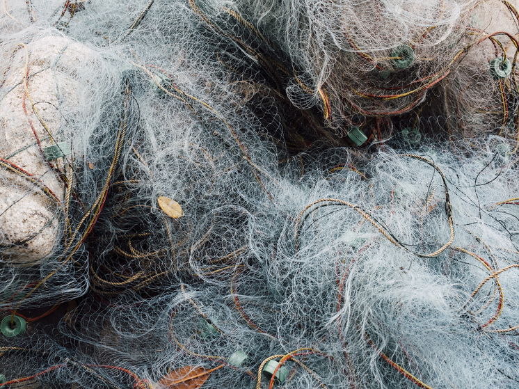 В Самаре следователи передали конфискованные рыболовные сети на нужды СВО