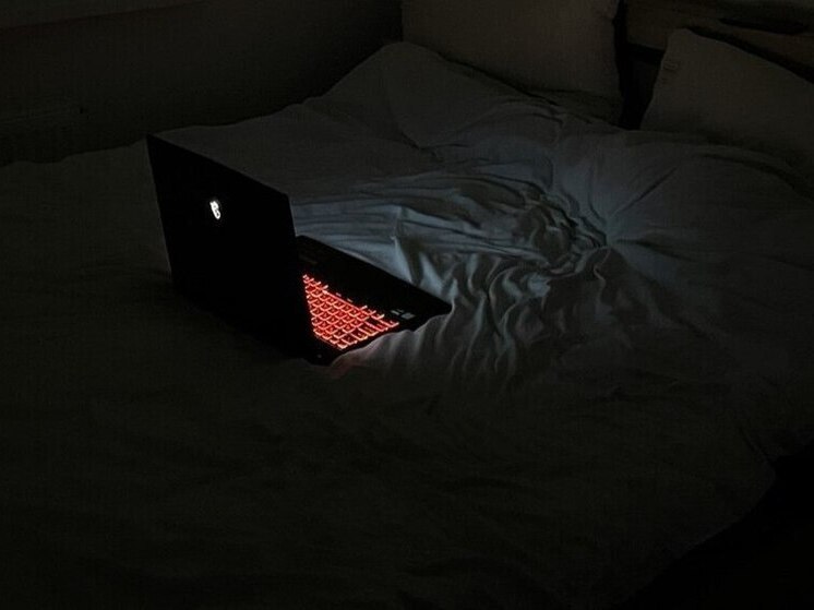 Гаджеты прочно вошли в нашу жизнь, и мы уже не можем обойтись без смартфонов, планшетов, электронных книг и ноутбуков