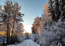 3 декабря в народном календаре — Проклов день, время, когда зима окончательно вступает в свои права, а невидимый мир, по поверьям, становится особенно активным. В этот день наши предки сочетали молитвенное почитание святителя Прокла Константинопольского с древними обережными ритуалами, чтобы защитить дом и семью от всякого зла.