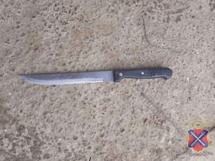 Жителю Волгоградской области из-за драки на почве ревности грозит 10 лет