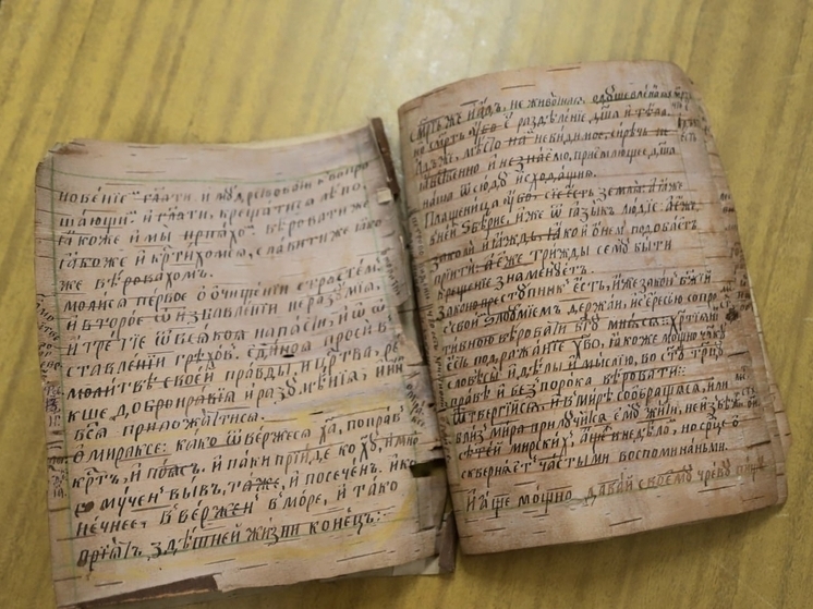 В Великий Новгород доставили из Сибири уникальную берестяную книгу
