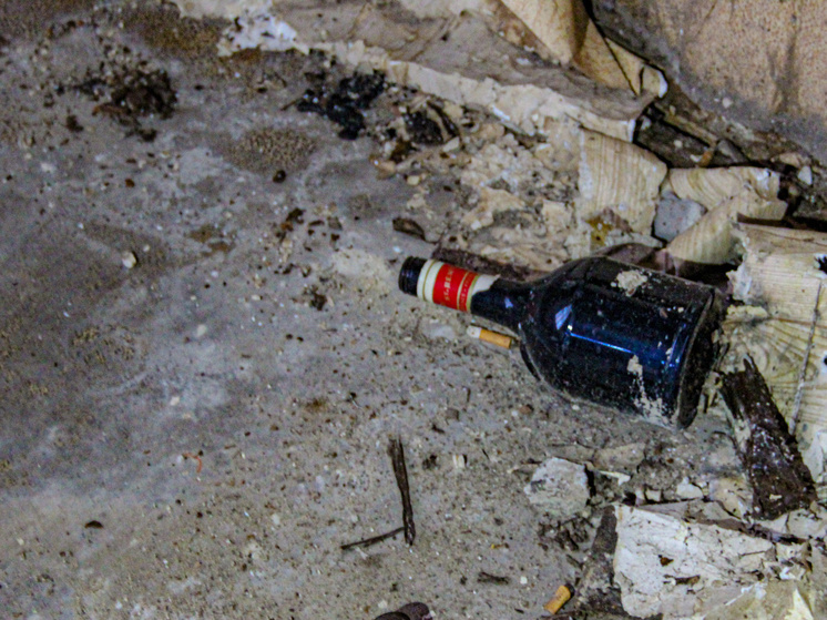 Туляк получил почти 2 года исправительных работ за повторную пьяную езду