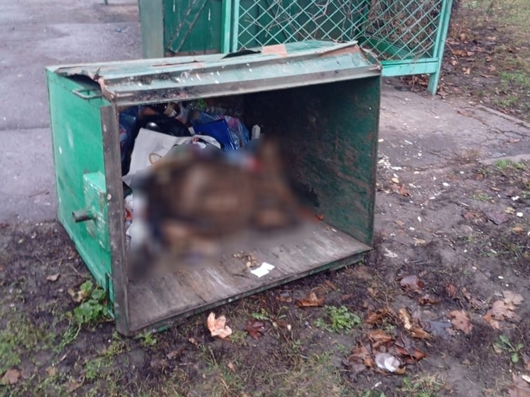 В Губкине в контейнер для ТКО выбросили мертвого барана