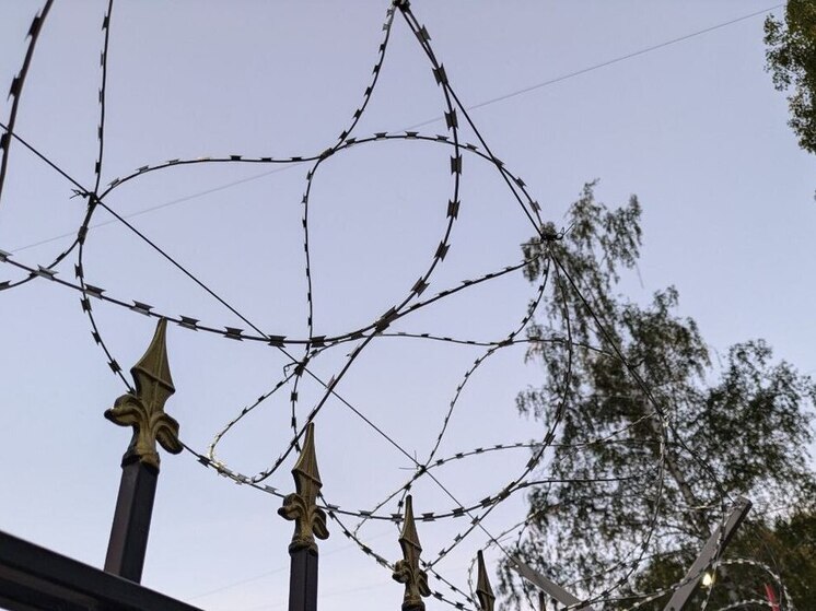 Осквернившего Вечный огонь в Воронеже пьяницу отправили в колонию