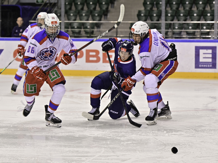 «АКМ-Новомосковск» одержал вторую «сухую» победу в МХЛ подряд