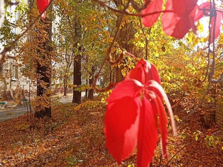 Сила магнитной бури 3 декабря составит 5 баллов: благоприятная пора для путешествий