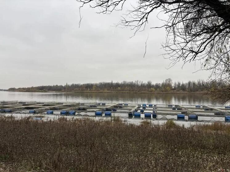 В Астраханской области 239 фермеров получили гранты Агростартап